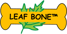 Leaf Bone 